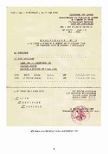 428 PILOTE AU PMAH-12eme-DI (13)